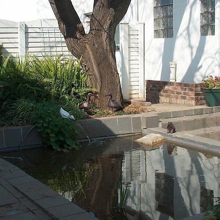 Liongate Bed And Breakfast Edenvale Εξωτερικό φωτογραφία